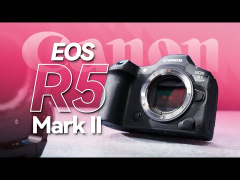 Best All-Rounder Under $4,300? Canon R5 Mark II Review!