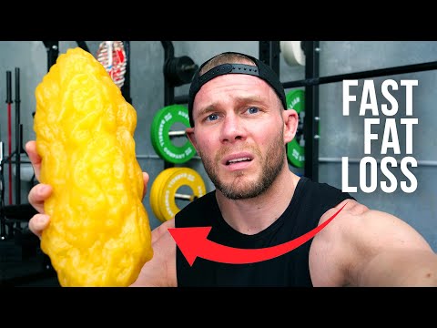 How To Lose Fat Fast!