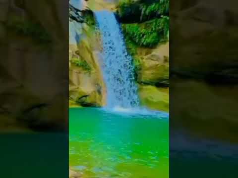 Water fall #water #waterfall #beauty #nature #greenery #shorts