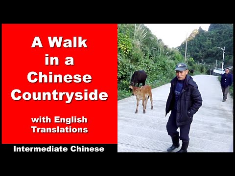 A Walk in The Chinese Countryside - Lower Intermediate Chinese - Chinese Conversation - HSK 3 /HSK 4