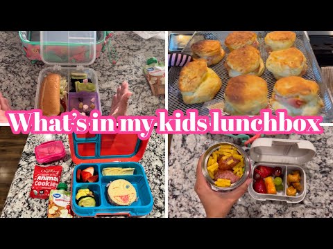 Weekly School Lunches / Packed School Lunch / What’s for School Lunch 🥪