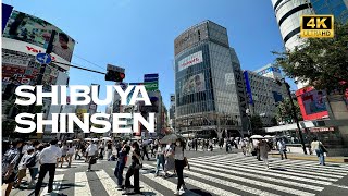 [4K] SHIBUYA→SHINSEN, Tokyo 🐧 Nonstop Walking Tour / 渋谷→神泉 東京 散歩