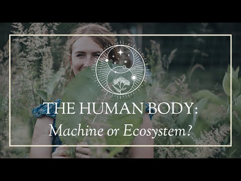 The Human Body: Machine or Ecosystem