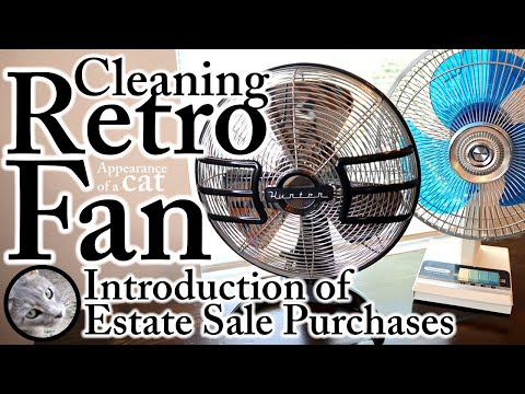 Cleaning Retro Fan! Introduction of Estate Sale Purchases, Appearance a Cat, Cleaning, ASMR, Bible