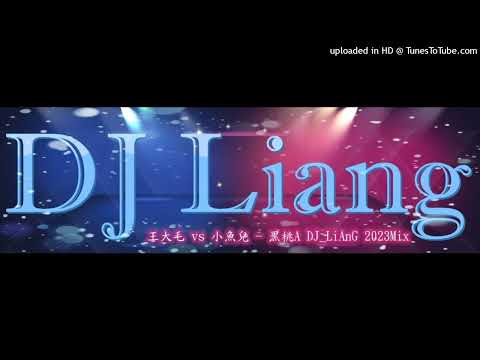 2023 - 王大毛 vs 小魚兒 - 黑桃A DJ_LiAnG Mix(比賽作品)!!!!