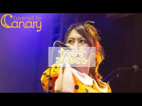 【cover】まちぶせ／石川ひとみ【ザ・ベストヒットキャナリー】