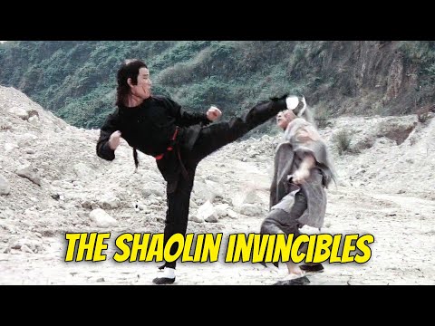 Wu Tang Collection - Shaolin Invincibles WIDESCREEN HD