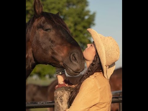 Horses: The Unexpected Solution to Trauma