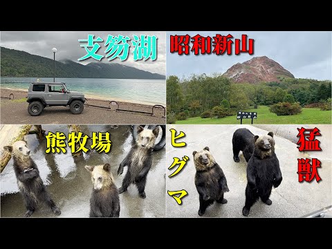 ヒグマデカ過ぎてビビった...(*´Д｀*)【支笏湖～昭和新山熊牧場】