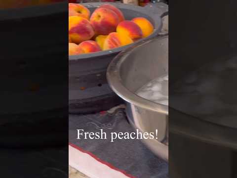 How to freeze peaches #homegrown #freeze #peaches