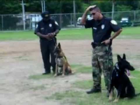 K9 Demo on St. John