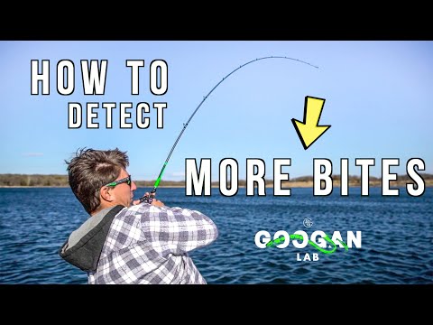 HOW TO DETECT More BITES! ( BASS FISHING TIPS )