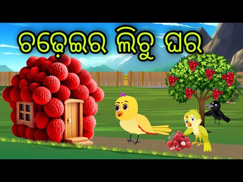 ଚଢ଼େଇର ଲିଚୁ ଘର | Chadheira Lichu Ghara | Tiki Chadhei Gapa | Odia Chadhei Gapa | New Story