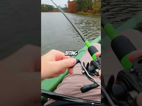 The most INSANE topwater blowup of my life #bassfishing #shorts