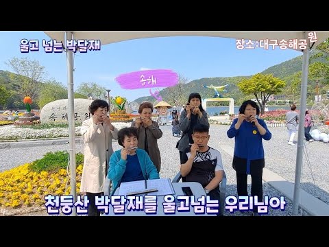 [울고넘는박달재] 박재홍 하모니카 대구송해공원