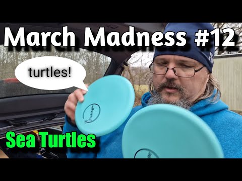 March 2024 Madness #12 - Turtles!