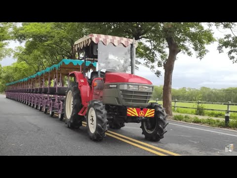 明鑫通運公司張小姐率領錦樹姐親朋好友貴賓旅遊團-池上長虹遊園拉拉車   2024.12.23