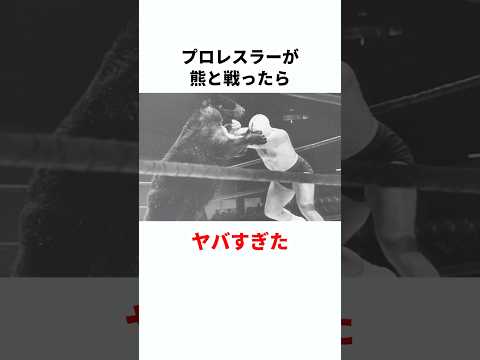 【衝撃展開】熊とプロレスラーが戦った結果　#プロレス #雑学 #shorts