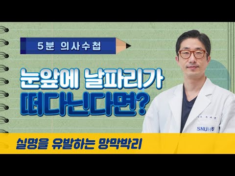 [5분 의사수첩] 눈앞에 날파리가 떠다닌다면? 실명을 유발하는 망막박리