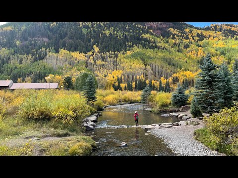 Fall Foliages in Telluride Valley, Ouray, visited on 10-1-2023. Day 5-B