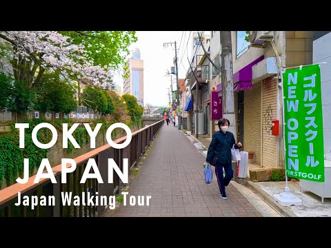 Japan Walking Tour in Tokyo in Kanda River May　2024