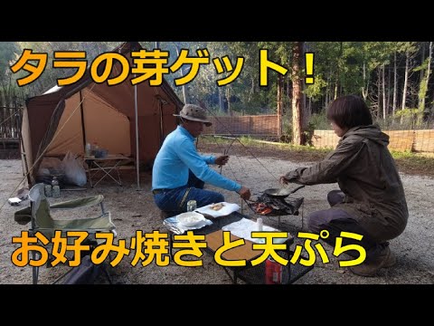 キャンプ！自然のタラの芽ゲット！お好み焼きと天ぷら！【のんびり二人キャンプ】