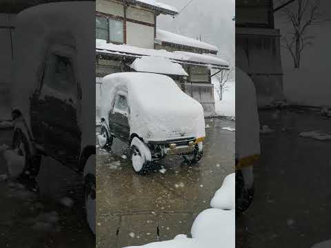 安定の白川郷　一晩でこれ