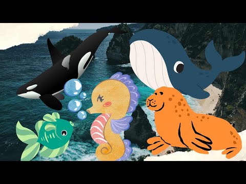 Aquatic Animals in the World - Fish Dolphins seahorses sea lions whales - Animal Sounds