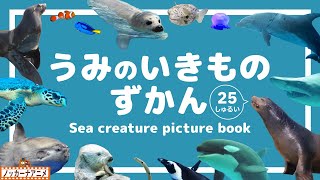 【海の生き物図鑑】水族館で人気の動物たち25種！知育アニメ【赤ちゃん・子供向け】Sea creature  picture book for kids