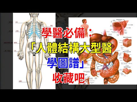 學醫必備：“人體結構大型醫學圖譜”，收藏吧，[健康之家]