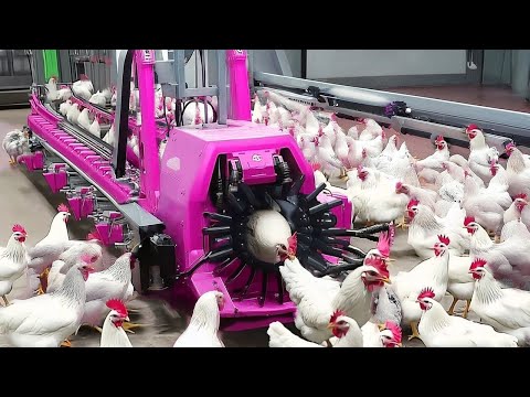 Farmers couldn't believe this machine, Until they saw how it worked - Most Ingenious Farm Inventions