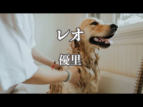 【カラオケ】レオ - 優里【オフボーカル】