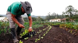 Importancia de la Agricultura Orgánica - TvAgro por Juan Gonzalo Angel