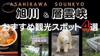 【旭川観光スポット】北海道旅行で外せないおすすめスポット4選[旭山動物園・神居古潭・平和通買物公園・層雲峡・流星の滝・銀河の滝]asahikawa sounkyo