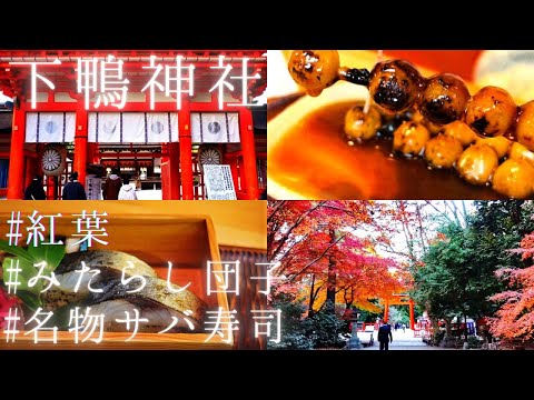 【下鴨神社】糺の森紅葉とみたらし団子～絶品サバのランチ～京都観光オススメグルメ