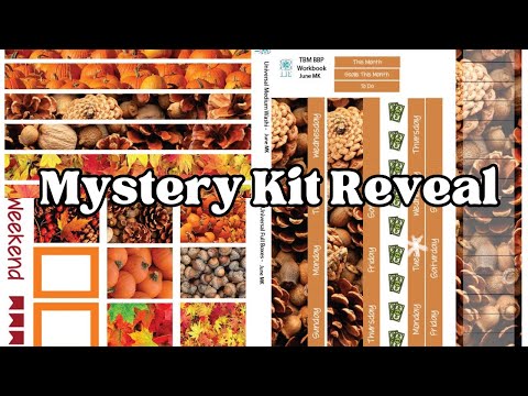 June Mystery Kit Reveal / July Sneak Peek  /  TBM BBP Workbook / Universal Kit / 7x9 Erin Condren