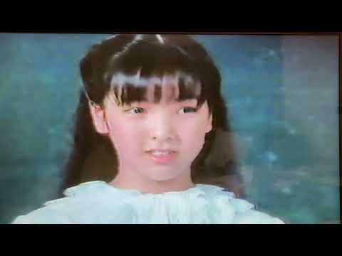 マルシンハンバーグのCM 昭和59年　1984年