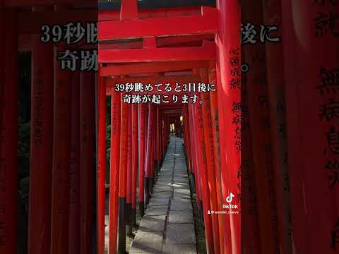 ⛩️39秒眺めてると3日後に奇跡が起こります。