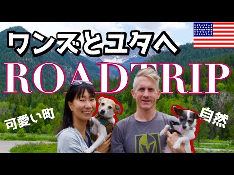 【愛犬との旅行】ユタ州へ愛犬2匹とのほほんなアメリカの田舎風景をロードトリップ。｜アメリカVLOG｜Wholesome Trip Vlog|アメリカ生活