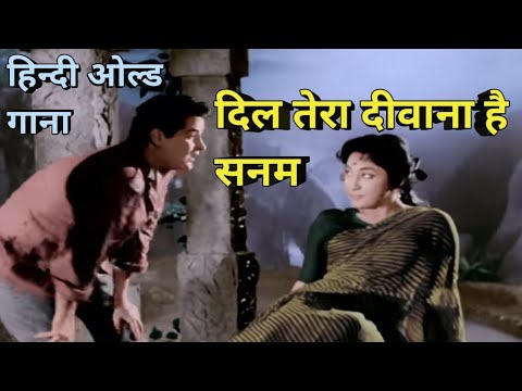 dil tera diwaana hai sanam hindi old song#viral #trending#oldisgold #mohammadrafi#latamangeshkar#old