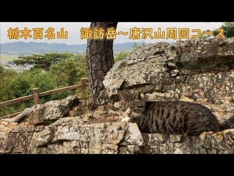 【低山登山】栃木百名山 諏訪岳～唐沢山周回コース 神社・城跡