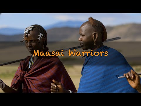 Maasai Warriors