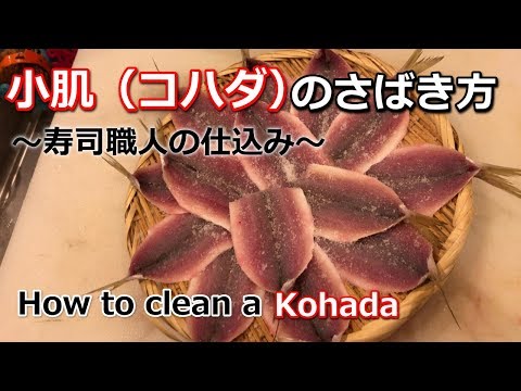 小肌（コハダ）のさばき方・寿司職人の仕込み【 How to clean a Kohada・ Japanese food sushi】