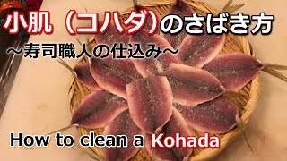 小肌（コハダ）のさばき方・寿司職人の仕込み【 How to clean a Kohada・ Japanese food sushi】