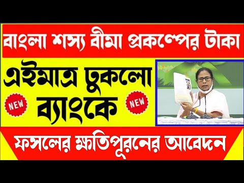 Bangla shasya bima new update 2024 | Latest news Bangla Shasya bima | Bangla soso bima check | TB