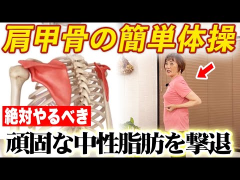 60分歩くより室内でできる肩甲骨運動！頑固な中性脂肪・腰痛も消えるエクササイズ！