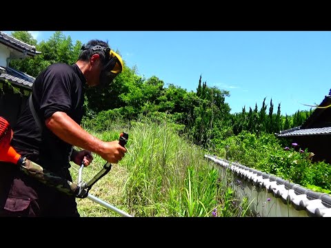 炎天下の草刈り日記　２０２４年６月　１１４５