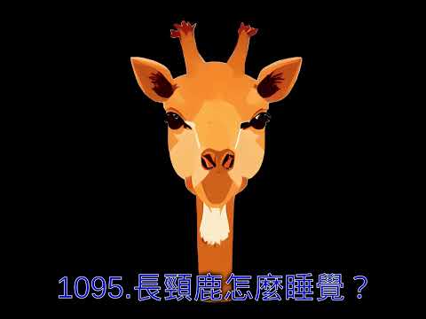 1095.長頸鹿怎麼睡覺？