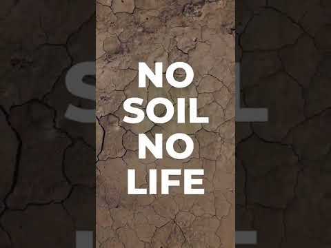 87% of all life on planet depends on soil #SaveSoil