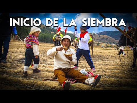 TRABAJOS ANCESTRALES: inicio de la siembra de maíz en QUILCAS | DOCUMENTAL